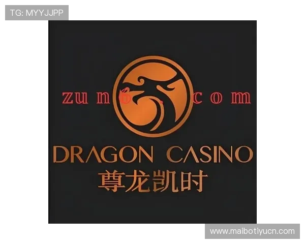 尊龙凯时vip平台最新优惠活动全面解析助你轻松赢取丰厚奖励